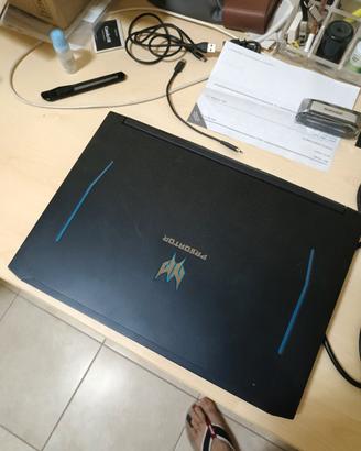 Acer predator