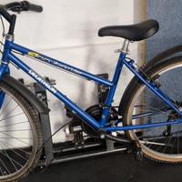 bicicletta
