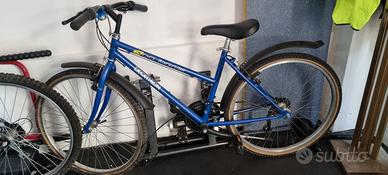 bicicletta