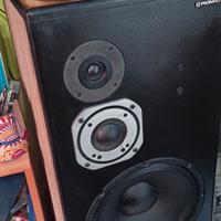 Diffusori audiophile da pavimento