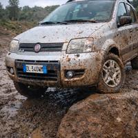 Fiat Panda 4x4 1.3 multijet tasto eld  3402986034
