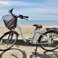Bici elettrica