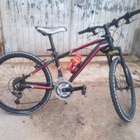 biciclette  mountain bike