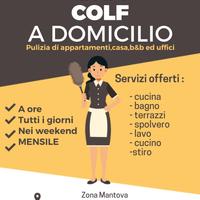 Pulizie domestiche