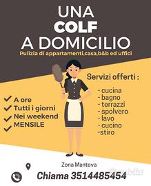 Pulizie domestiche