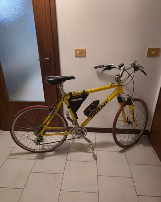 Mountain bike Giant ATX