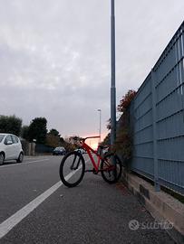 Bici da whellie 