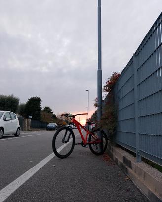 Bici da whellie 