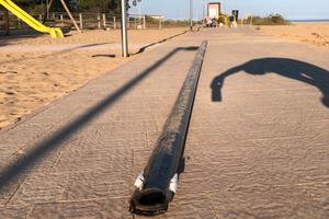 Hoibie Cat 16 - Albero completo