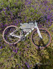 Focus Paralane 8.8 2024