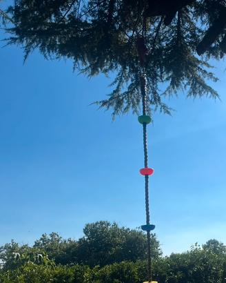 Altalena a corda da arrampicata