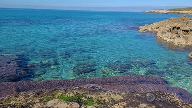 Vacanze siciliane