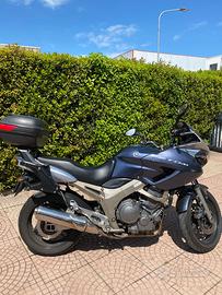 Yamaha TDM 900 - Affidabile e pronta all'uso