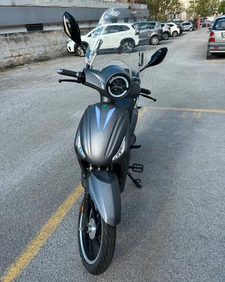 Bici elettrica E-Vaij  (BR1)