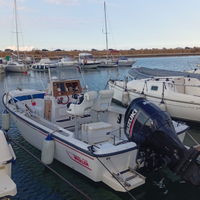 Boston Whaler 20 outrage