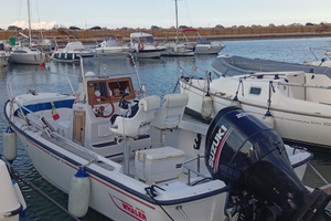 Boston Whaler 20 outrage
