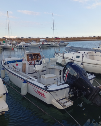 Boston Whaler 20 outrage