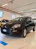 fiat-punto-evo-punto-evo-1-4-5-porte-active-easypo