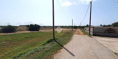 TER. AGRICOLO A ARDEA
