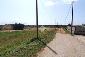 TER. AGRICOLO A ARDEA