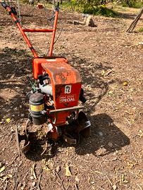 Motozappa brumi special