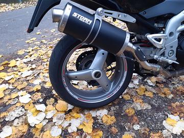 Speed triple 955i 2004