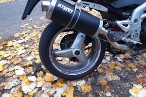 Speed triple 955i 2004