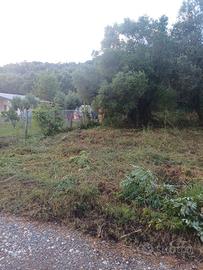 terreno a vibonati