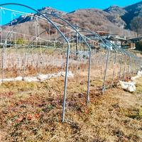 centine  larghe 4 mt