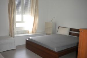 Singola vicino a Iulm e Naba