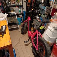 Bicicletta a pedalata assistita 