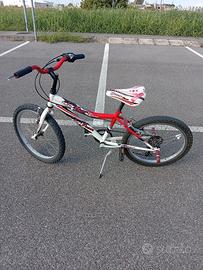 Bicicletta 20 pollici 