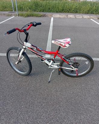 Bicicletta 20 pollici 