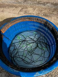 Palamito 200 ami da basso fondo