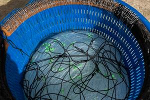 Palamito 200 ami da basso fondo