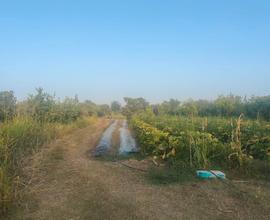 Terreno Agricolo zona San Marco a Calatabiano