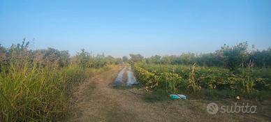 Terreno Agricolo zona San Marco a Calatabiano