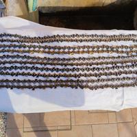Catene per motosega con barra 16 pollici (5 pezzi)