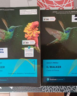 Il walker Corso di fisica