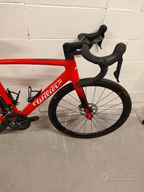 Wilier Triestina