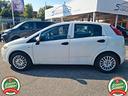 fiat-punto-1-3-mjt-75-cv-dpf-5-porte-neopatentati-