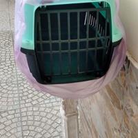trasportina per gatti