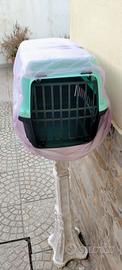 trasportina per gatti