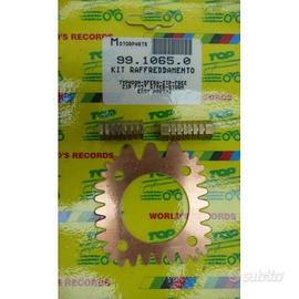 Kit raffreddamento per Piaggio Typhoon Sfera Zip F