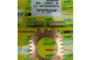 Kit raffreddamento per Piaggio Typhoon Sfera Zip F