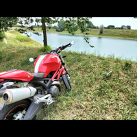 Ducati Monster 696
