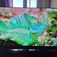 TV OLED 4K Panasonic MZ1500E 55'