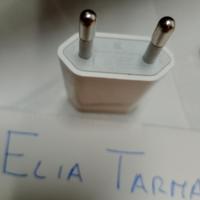 caricatore FAST CHARGE adattatore apple originale