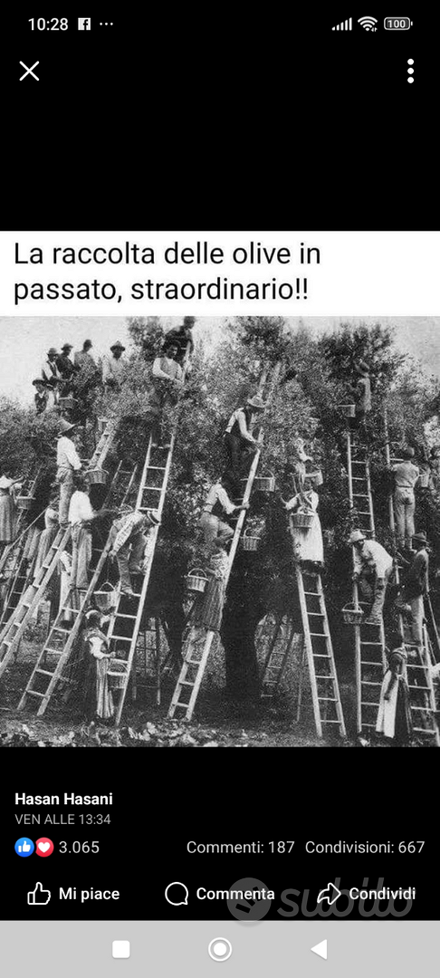 Terreno con vano appoggio - Vista 2