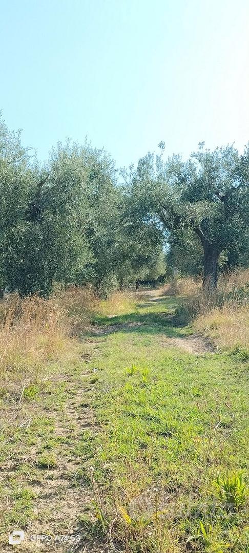 Rustico e terreno edificabile - Vista 4